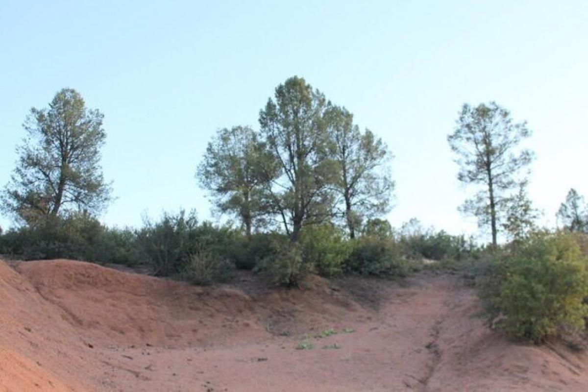 Picture of Residential Land For Sale in Payson, Arizona, United States