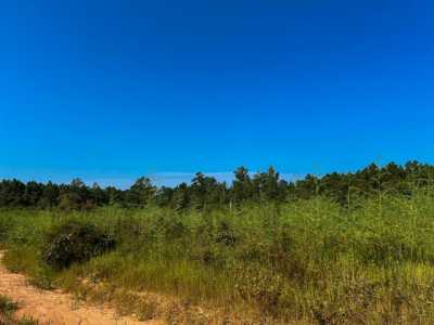 Residential Land For Sale in Woodville, Texas