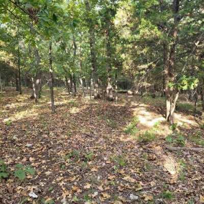 Residential Land For Rent in Edwards, Missouri