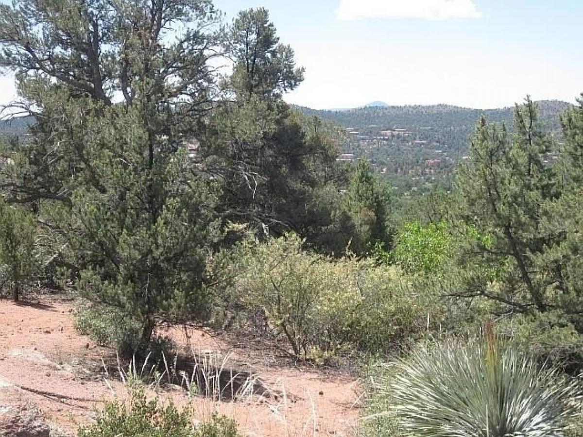 Picture of Residential Land For Sale in Payson, Arizona, United States