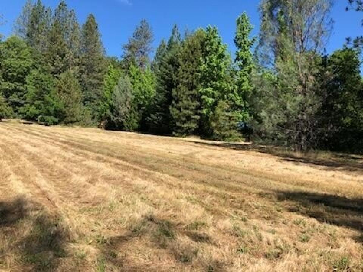 Picture of Residential Land For Sale in Lakehead, California, United States