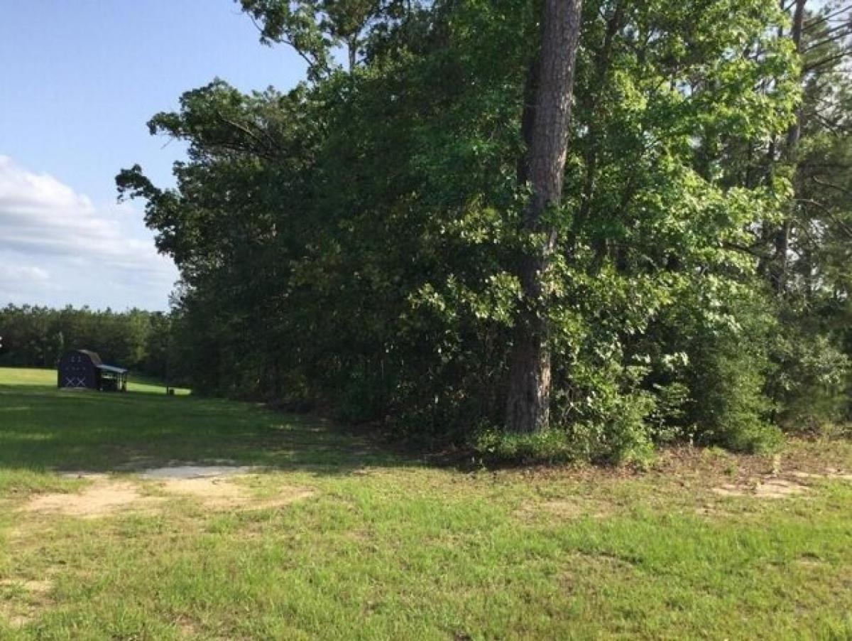 Picture of Residential Land For Sale in Leesville, Louisiana, United States