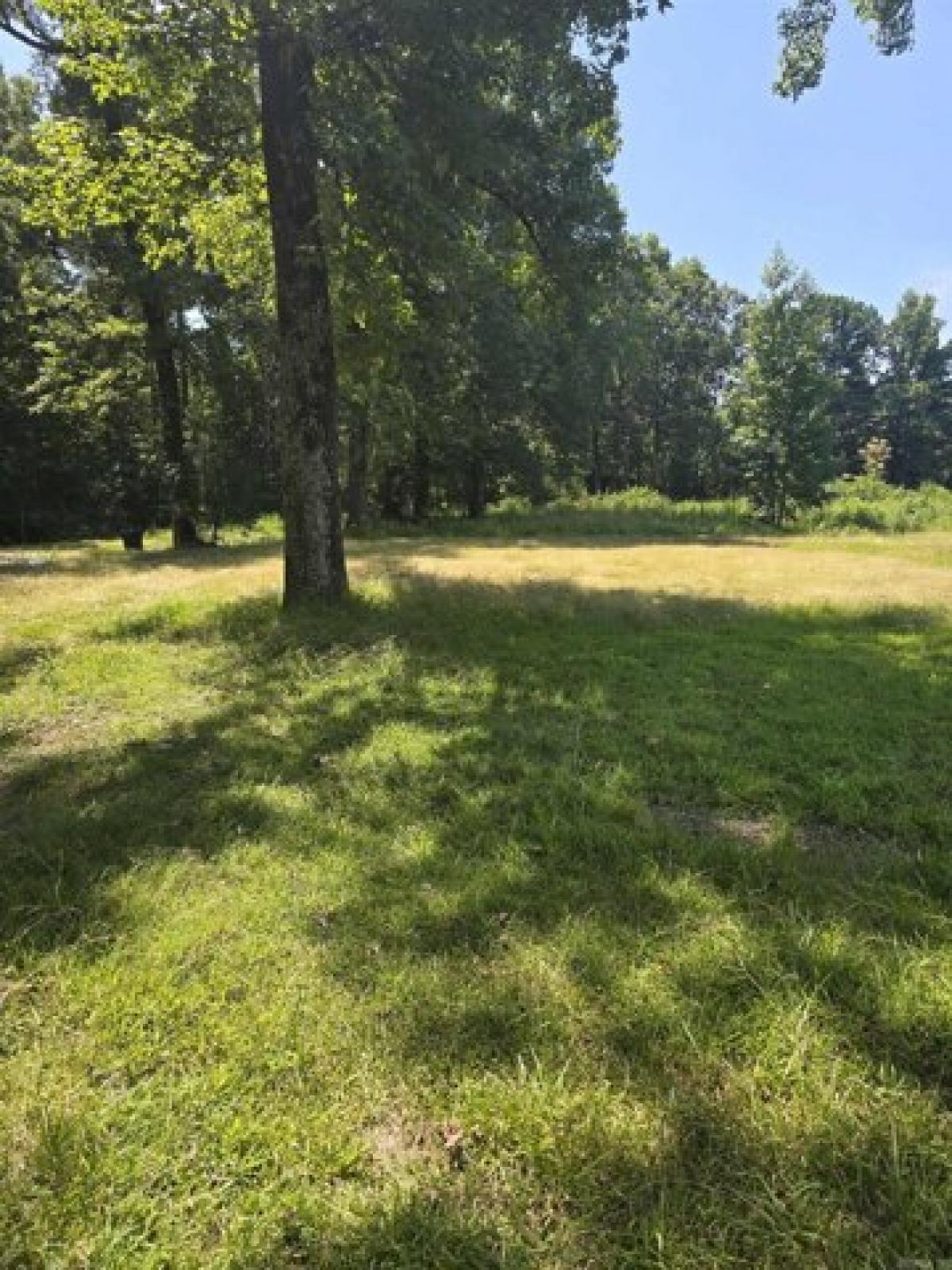 Picture of Residential Land For Sale in Alexander, Arkansas, United States