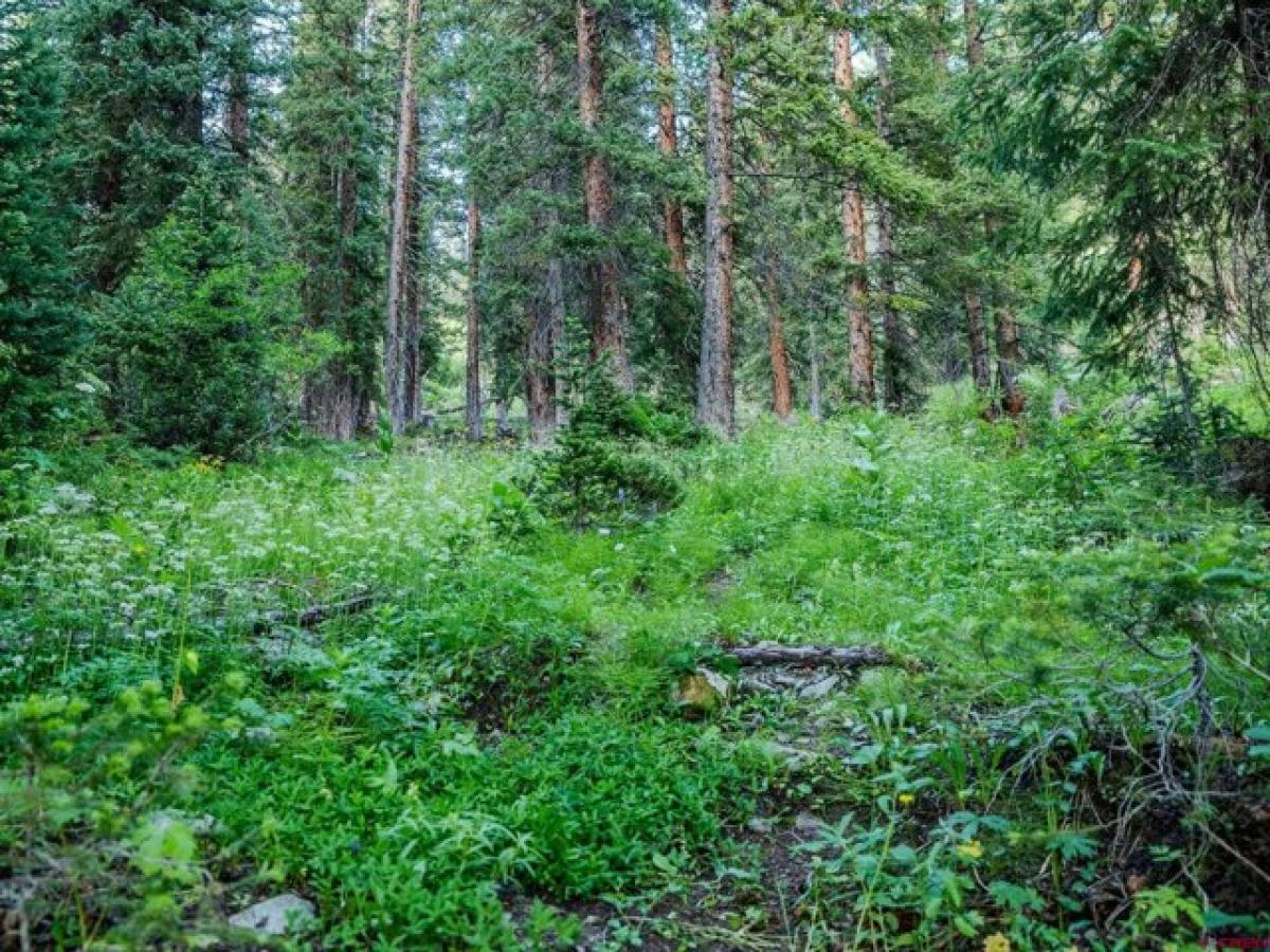 Picture of Home For Sale in Crested Butte, Colorado, United States