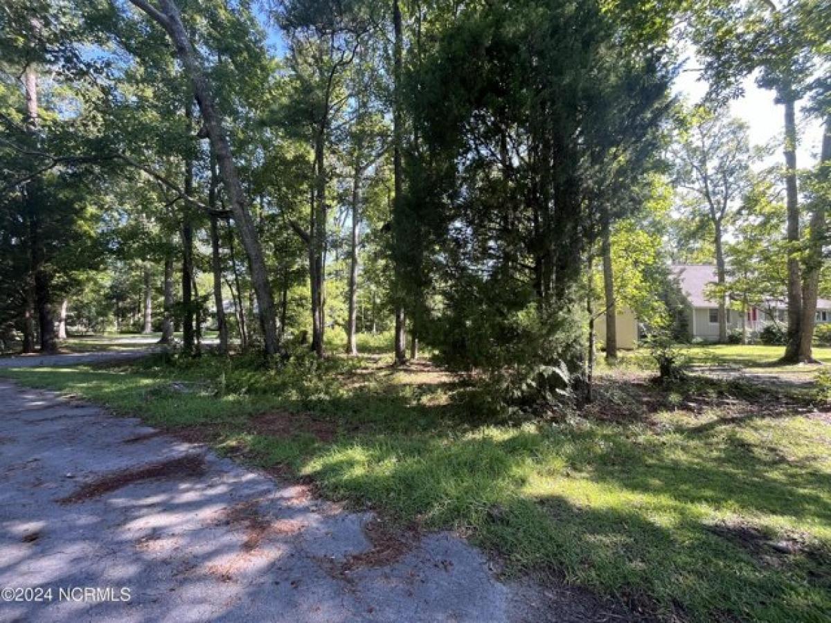 Picture of Residential Land For Sale in Oriental, North Carolina, United States