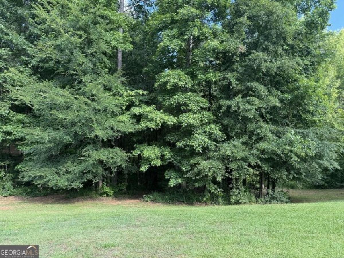 Picture of Residential Land For Sale in Forsyth, Georgia, United States