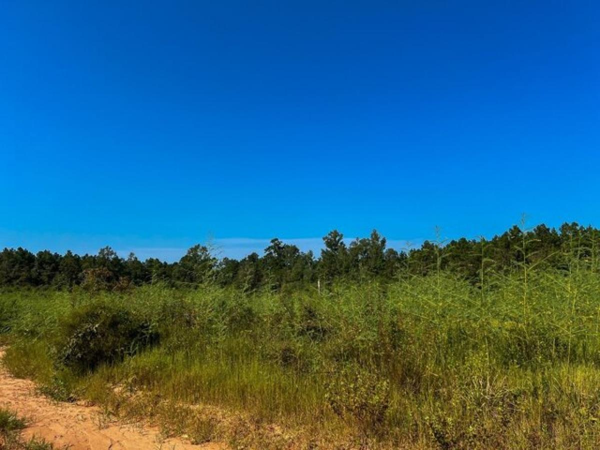 Picture of Residential Land For Sale in Woodville, Texas, United States