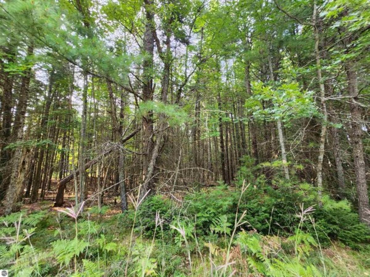 Picture of Residential Land For Sale in Roscommon, Michigan, United States