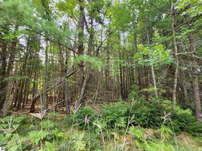 Residential Land For Sale in 