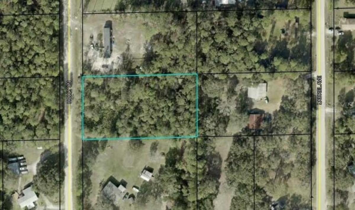 Picture of Residential Land For Sale in Bunnell, Florida, United States