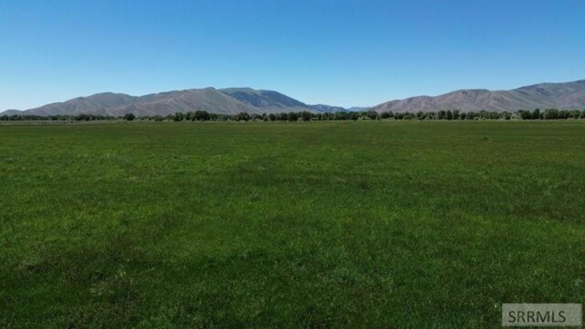 Picture of Residential Land For Sale in Moore, Idaho, United States