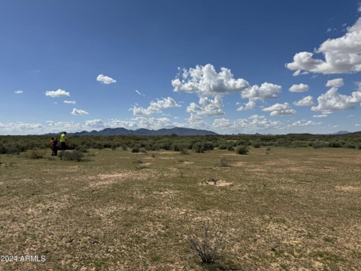 Picture of Residential Land For Sale in Eloy, Arizona, United States