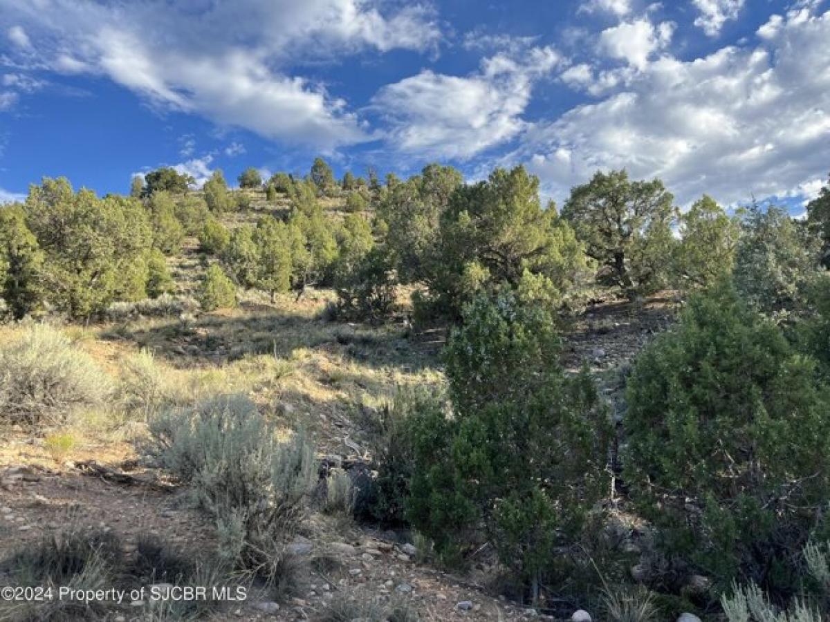 Picture of Residential Land For Sale in Aztec, New Mexico, United States