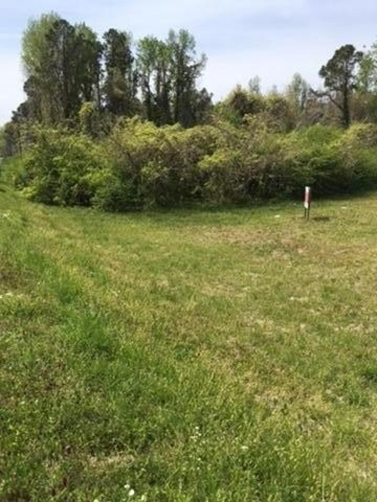 Picture of Residential Land For Sale in Alexander City, Alabama, United States