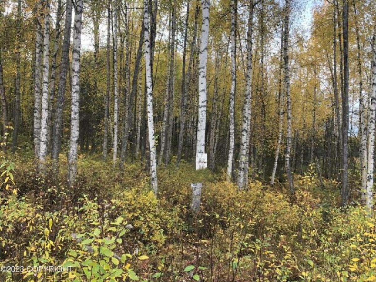 Picture of Residential Land For Sale in Willow, Alaska, United States