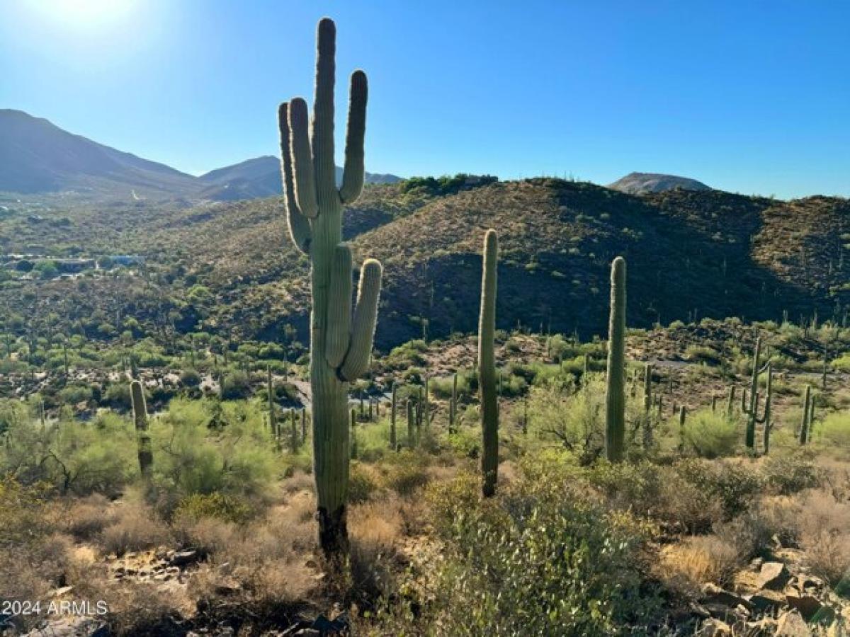 Picture of Residential Land For Sale in Cave Creek, Arizona, United States