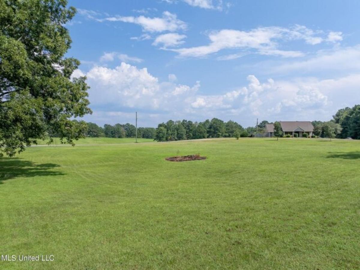 Picture of Residential Land For Sale in Sumrall, Mississippi, United States