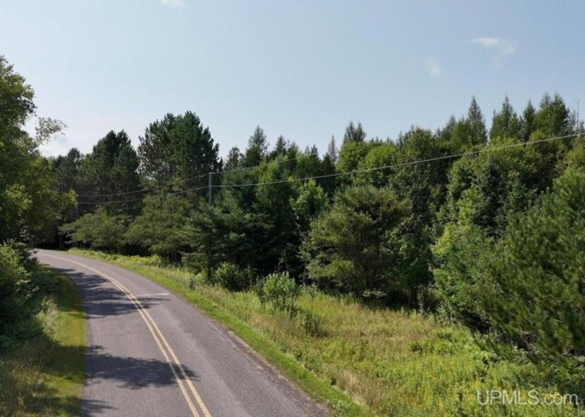 Picture of Residential Land For Sale in Lake Linden, Michigan, United States