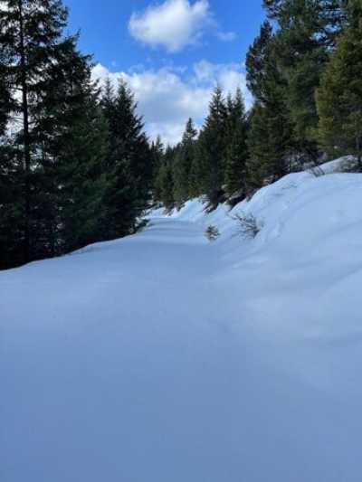 Residential Land For Sale in Whitefish, Montana