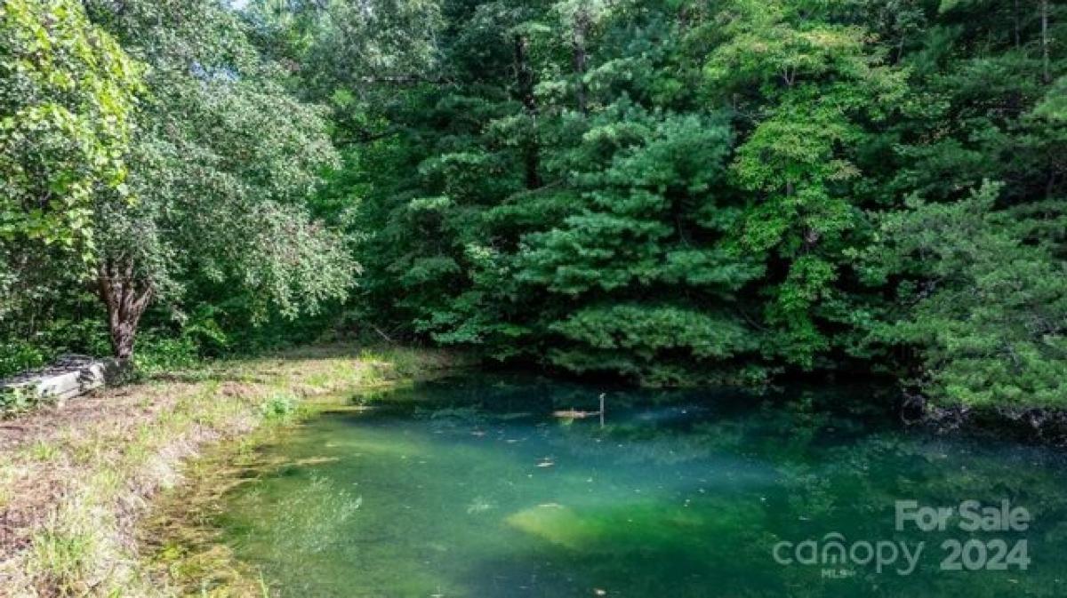 Picture of Home For Sale in Marion, North Carolina, United States