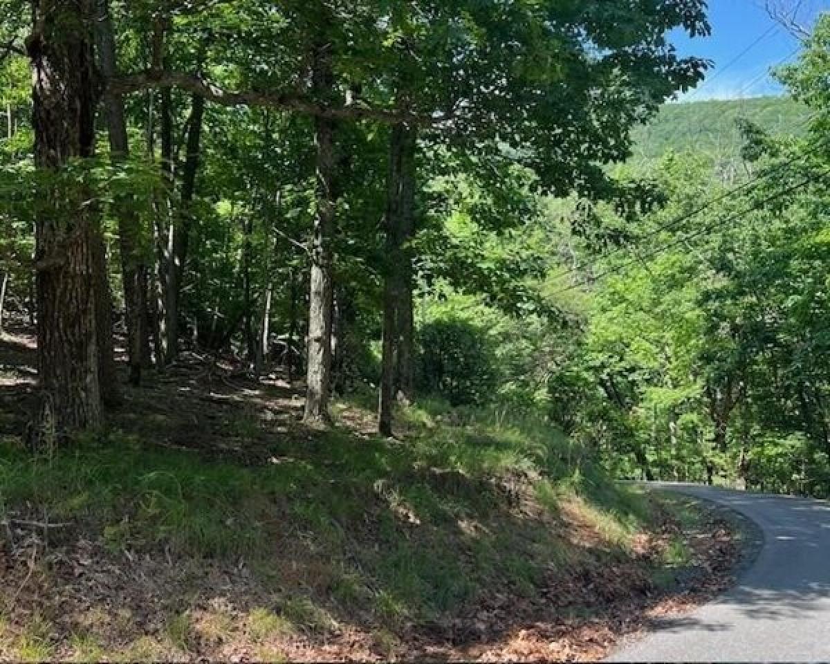 Picture of Residential Land For Sale in Jasper, Georgia, United States