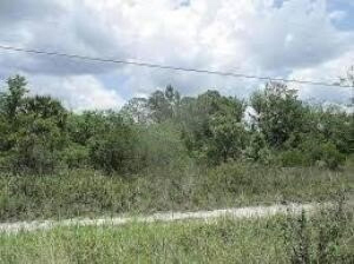 Picture of Residential Land For Sale in Vero Beach, Florida, United States