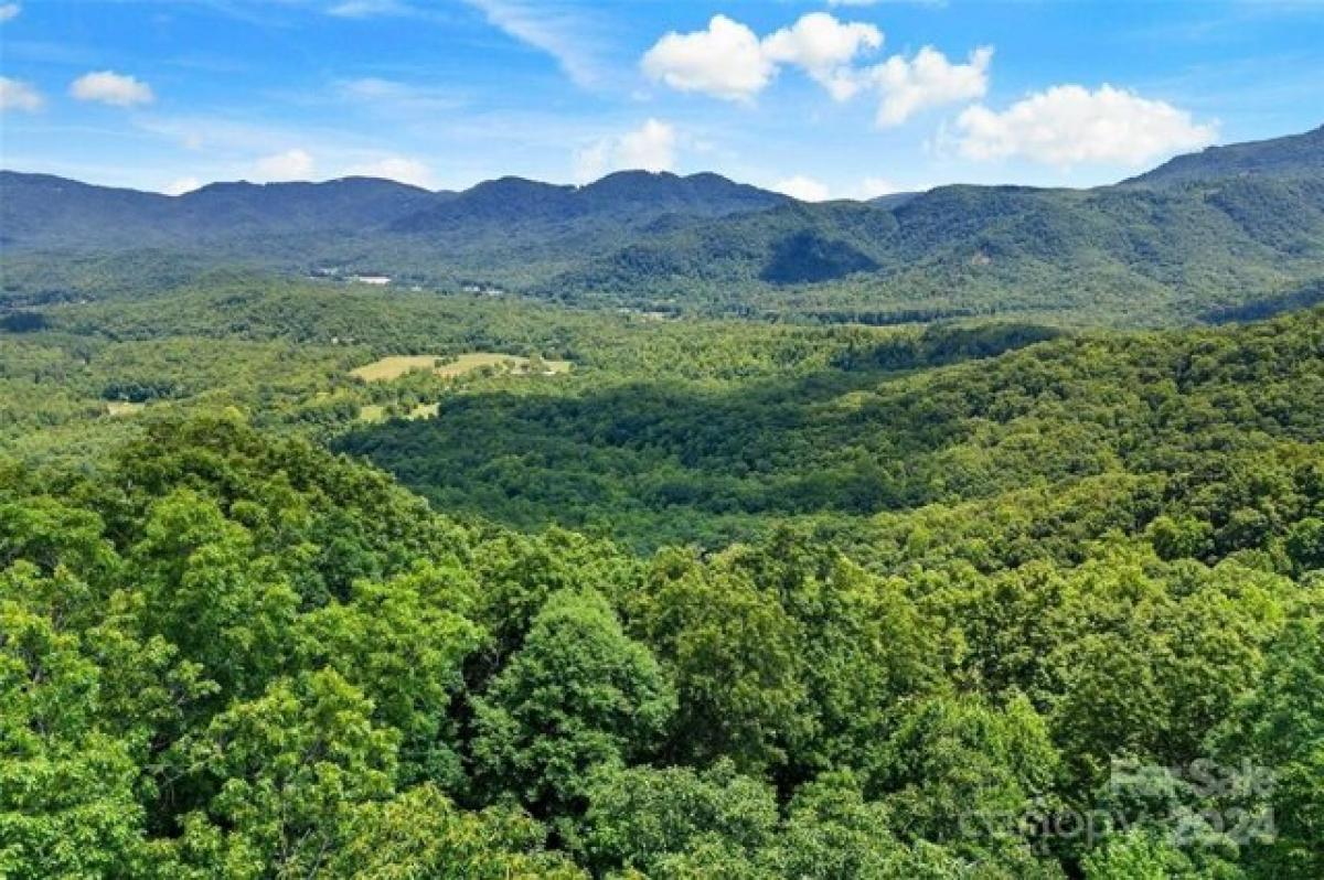 Picture of Residential Land For Sale in Black Mountain, North Carolina, United States