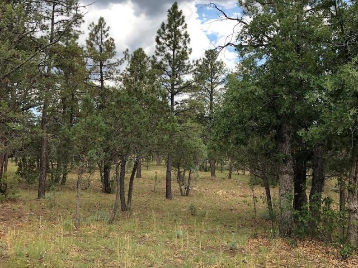 Picture of Residential Land For Sale in Happy Jack, Arizona, United States