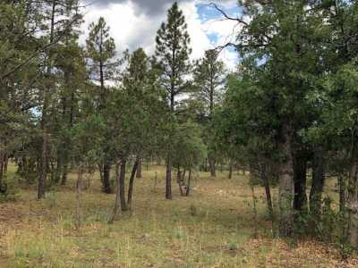 Residential Land For Sale in Happy Jack, Arizona