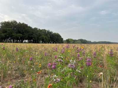 Residential Land For Sale in Tuscola, Texas