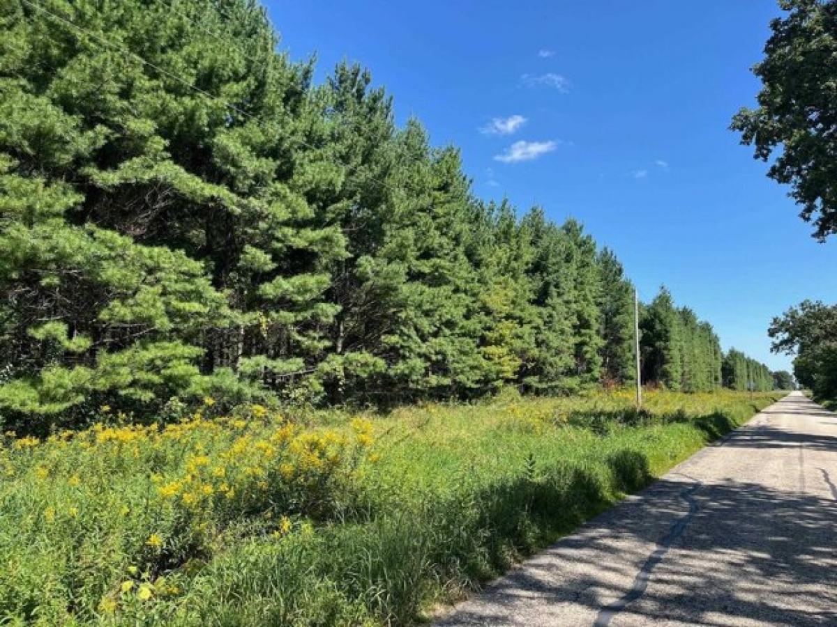 Picture of Residential Land For Sale in Adams, Wisconsin, United States