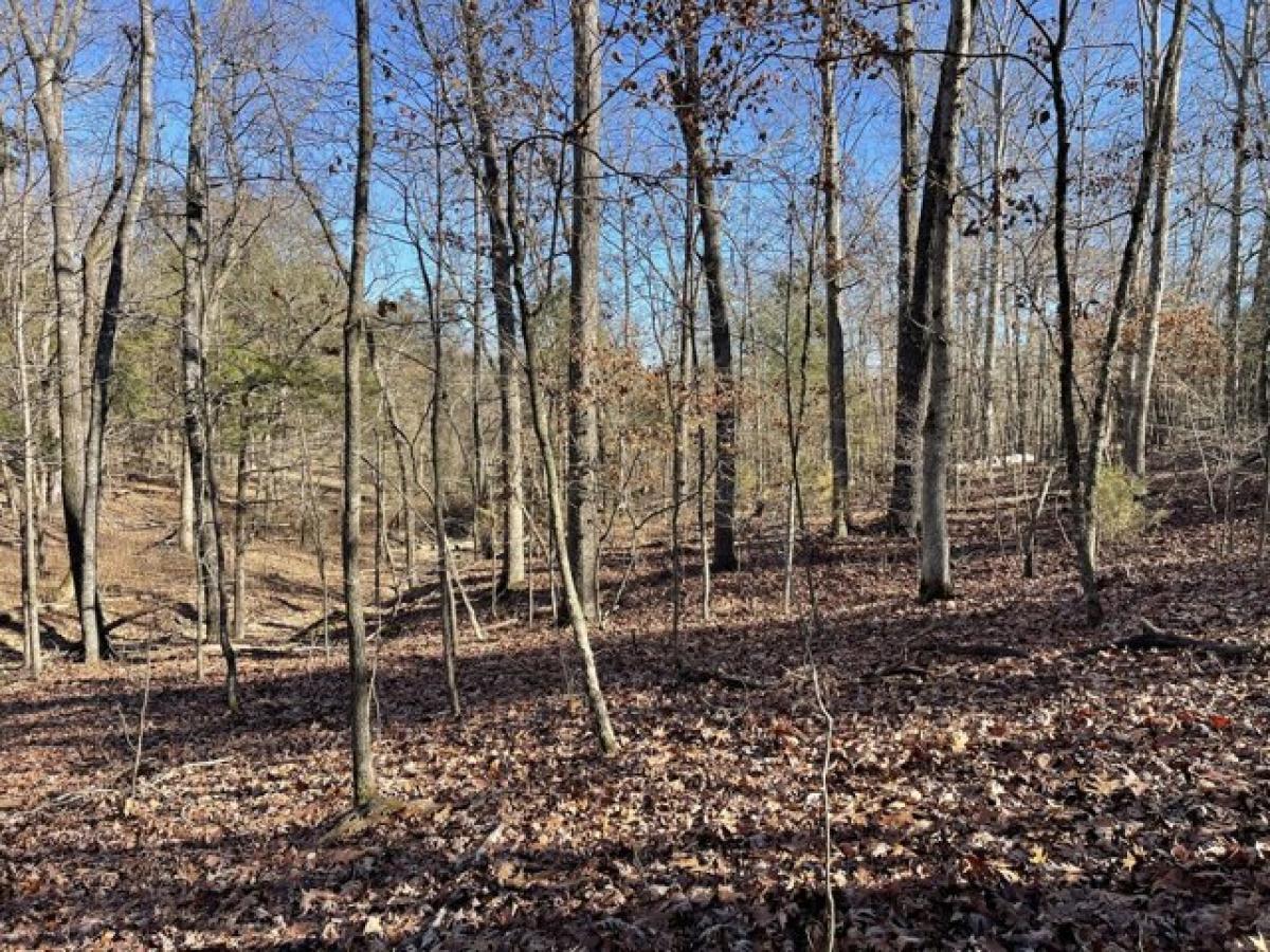 Picture of Residential Land For Sale in Branson West, Missouri, United States