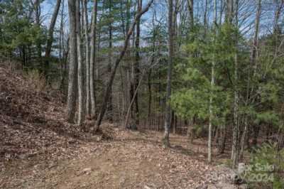 Residential Land For Sale in Asheville, North Carolina