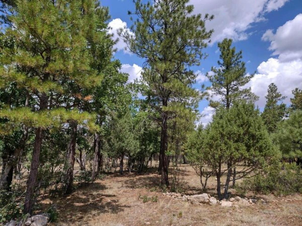 Picture of Residential Land For Sale in Happy Jack, Arizona, United States