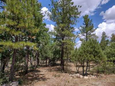 Residential Land For Sale in Happy Jack, Arizona