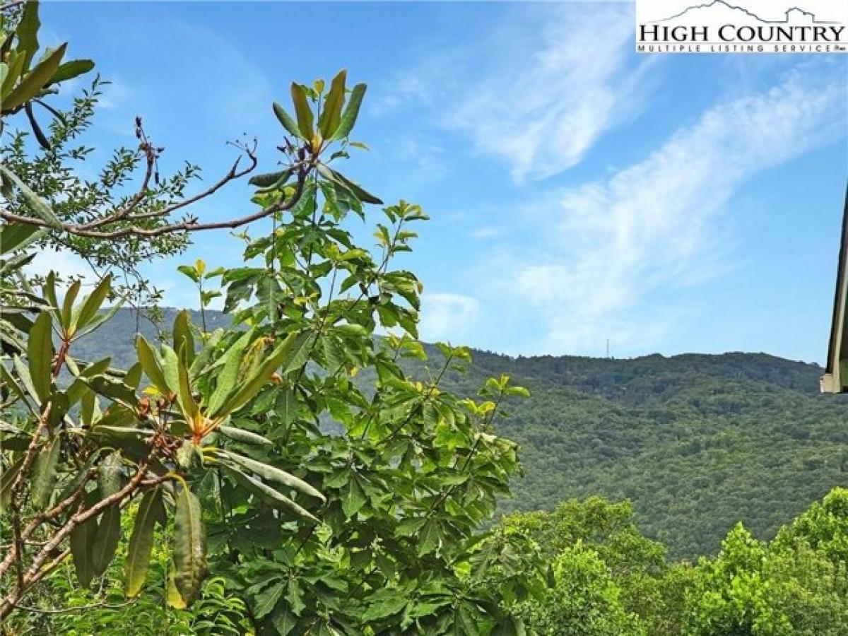 Picture of Residential Land For Sale in Beech Mountain, North Carolina, United States