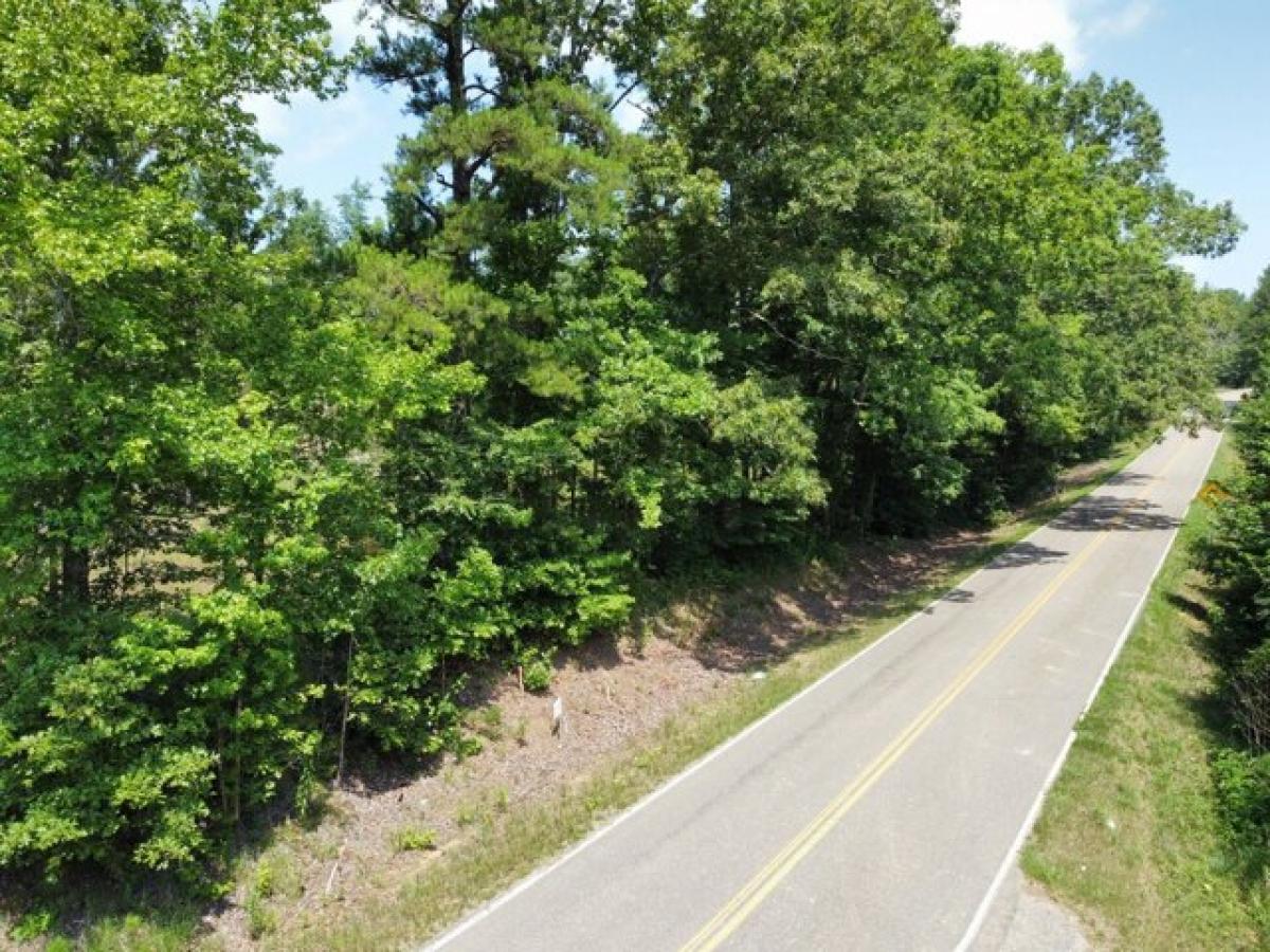 Picture of Residential Land For Sale in Bethel Springs, Tennessee, United States