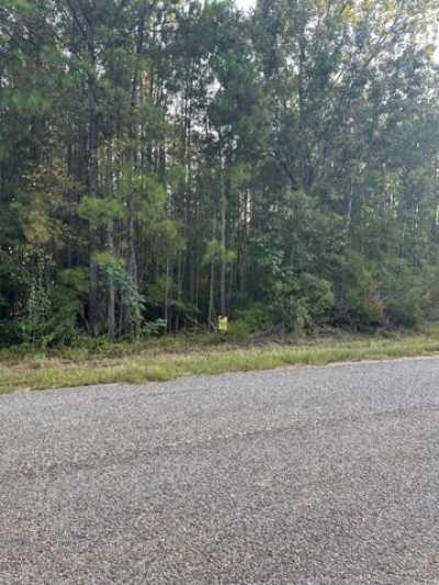 Residential Land For Sale in Evergreen, Alabama