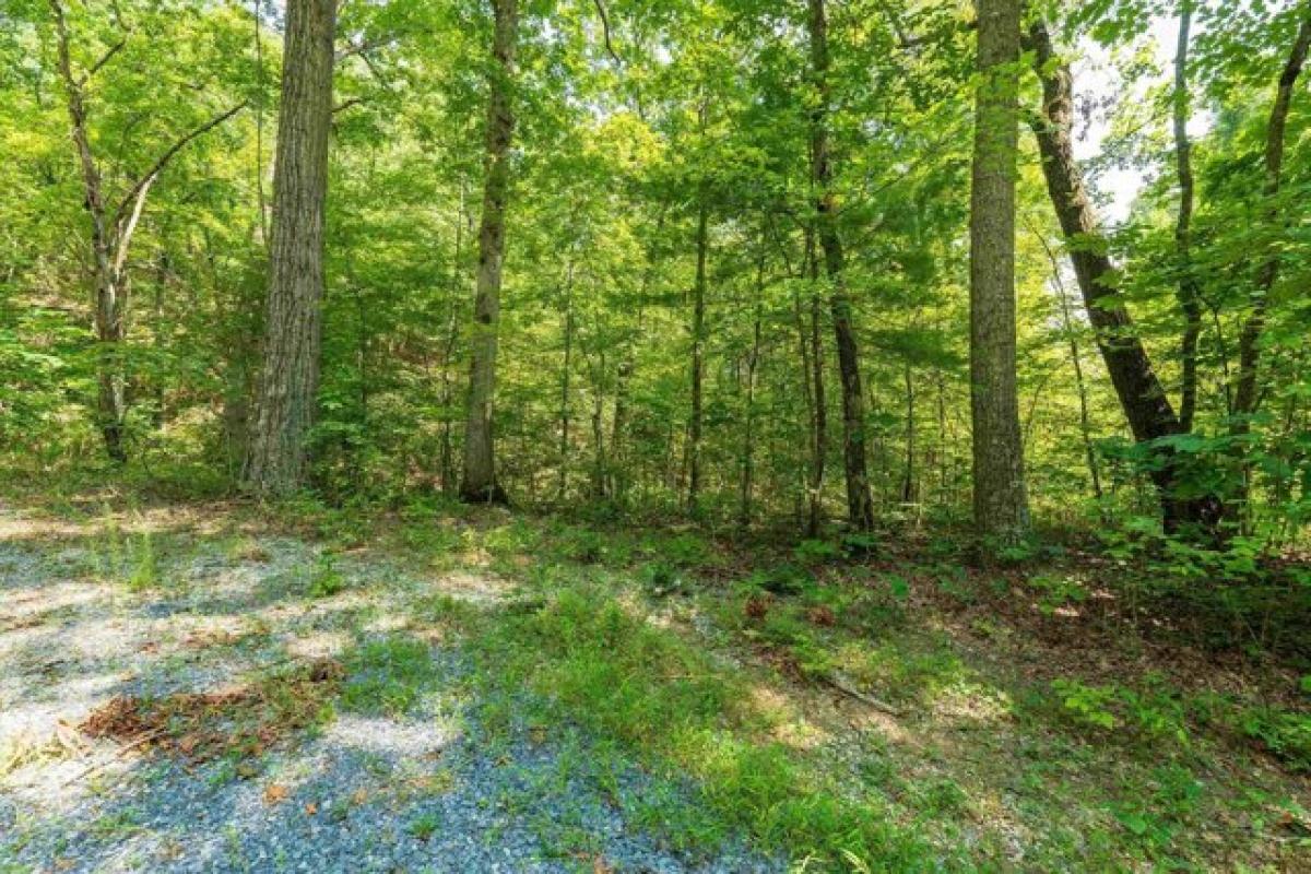 Picture of Residential Land For Sale in Shenandoah, Virginia, United States