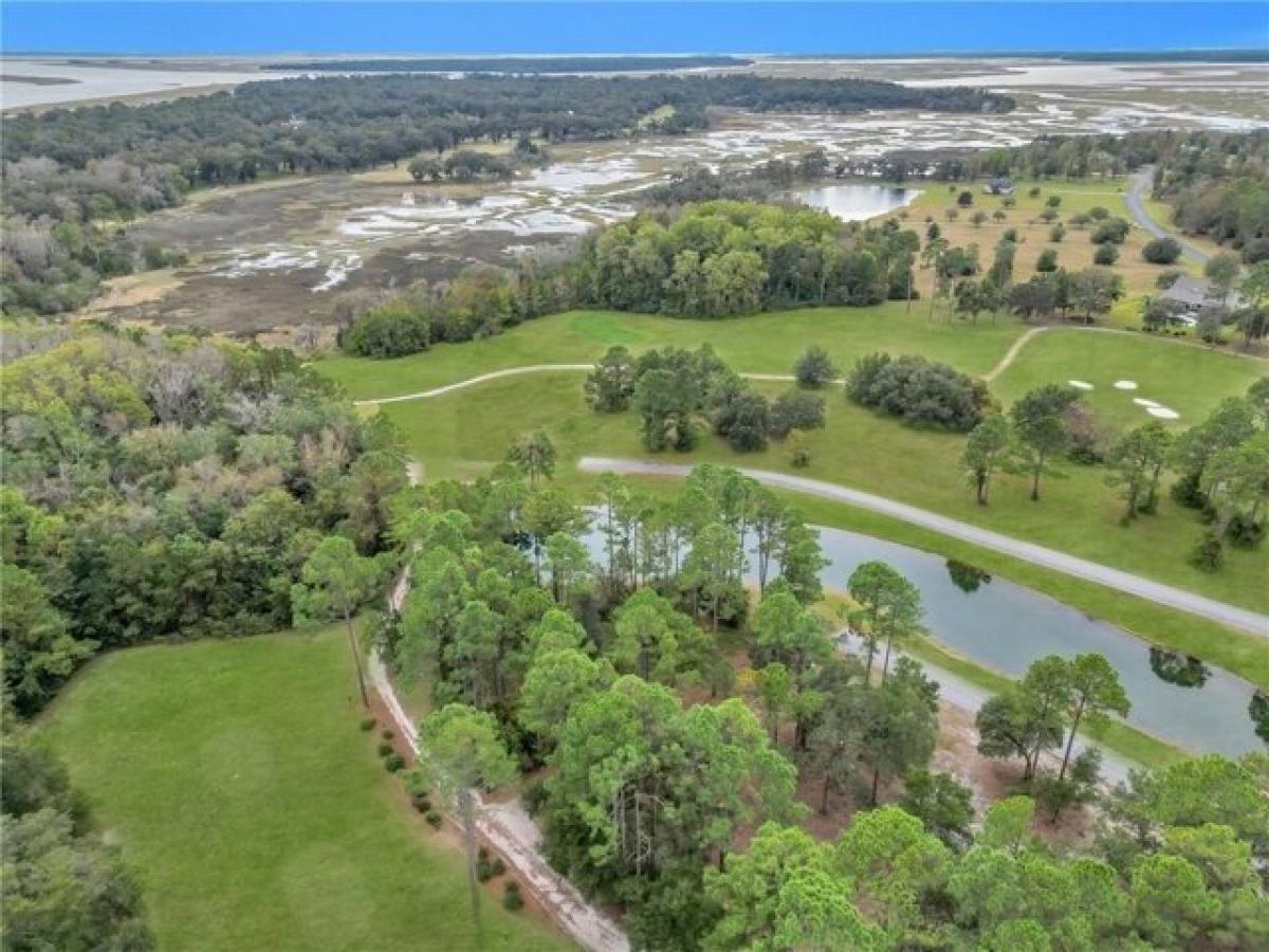 Picture of Residential Land For Sale in Townsend, Georgia, United States