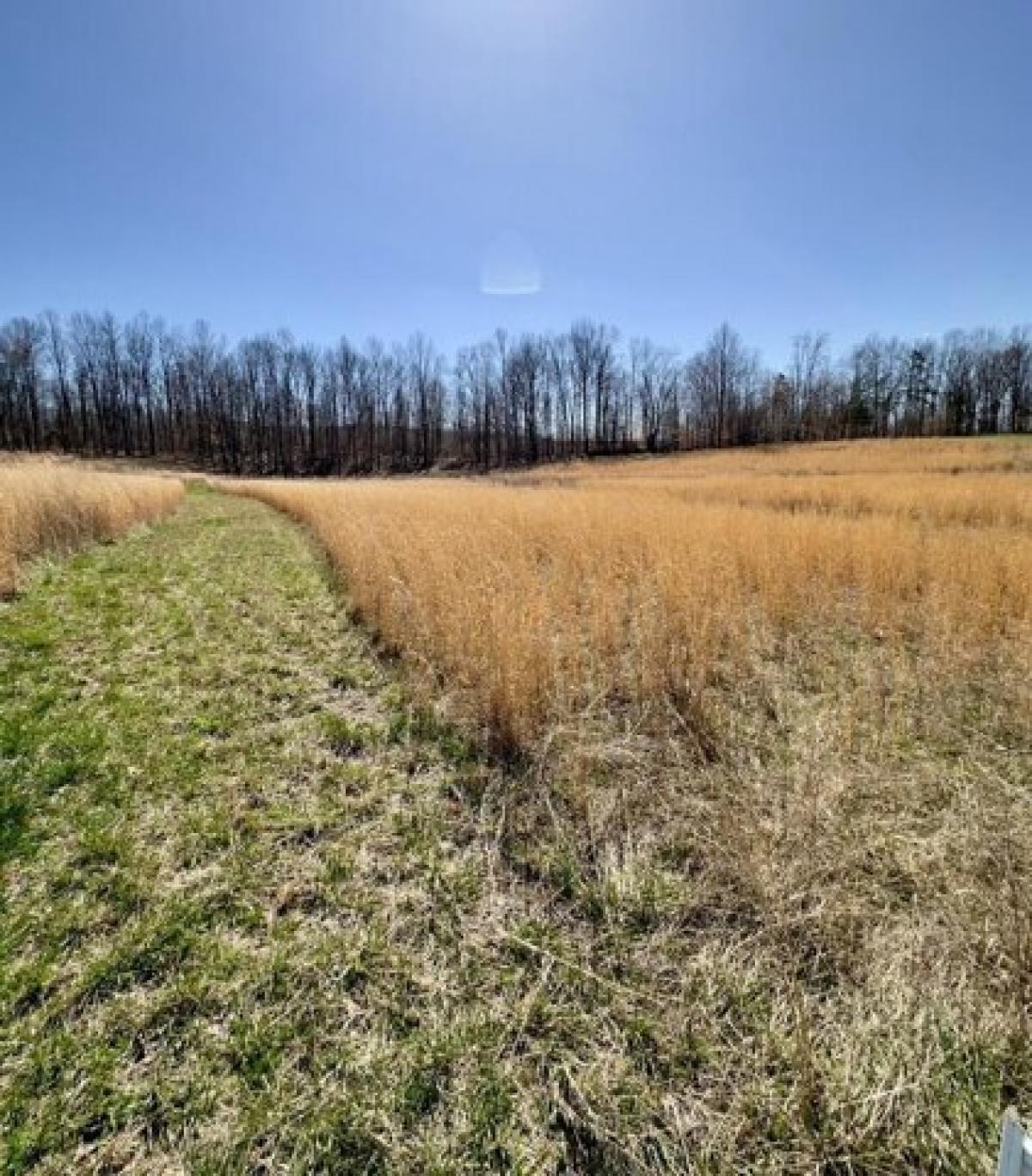 Picture of Residential Land For Sale in Albany, Kentucky, United States