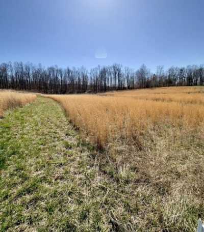 Residential Land For Sale in Albany, Kentucky