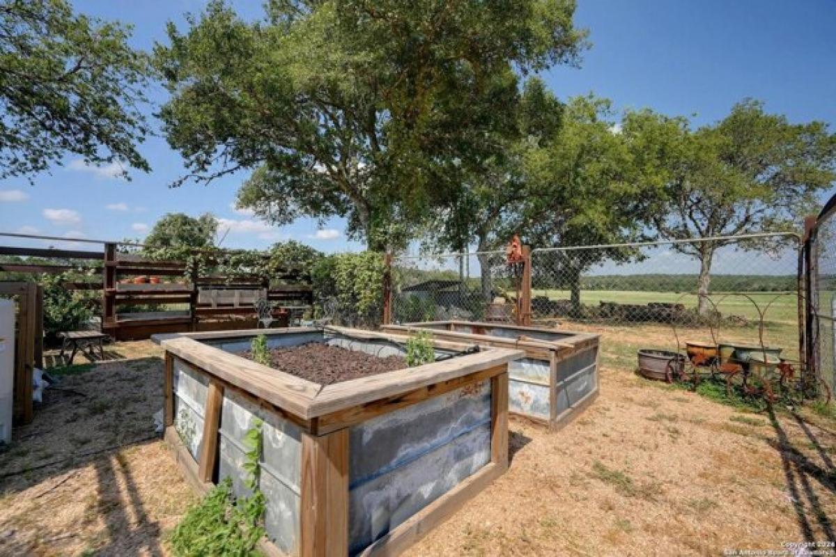 Picture of Home For Sale in Blanco, Texas, United States