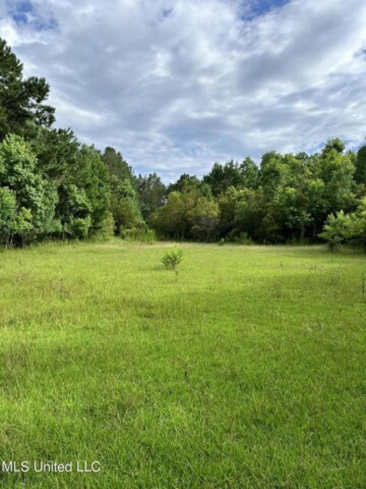 Picture of Residential Land For Sale in Moss Point, Mississippi, United States