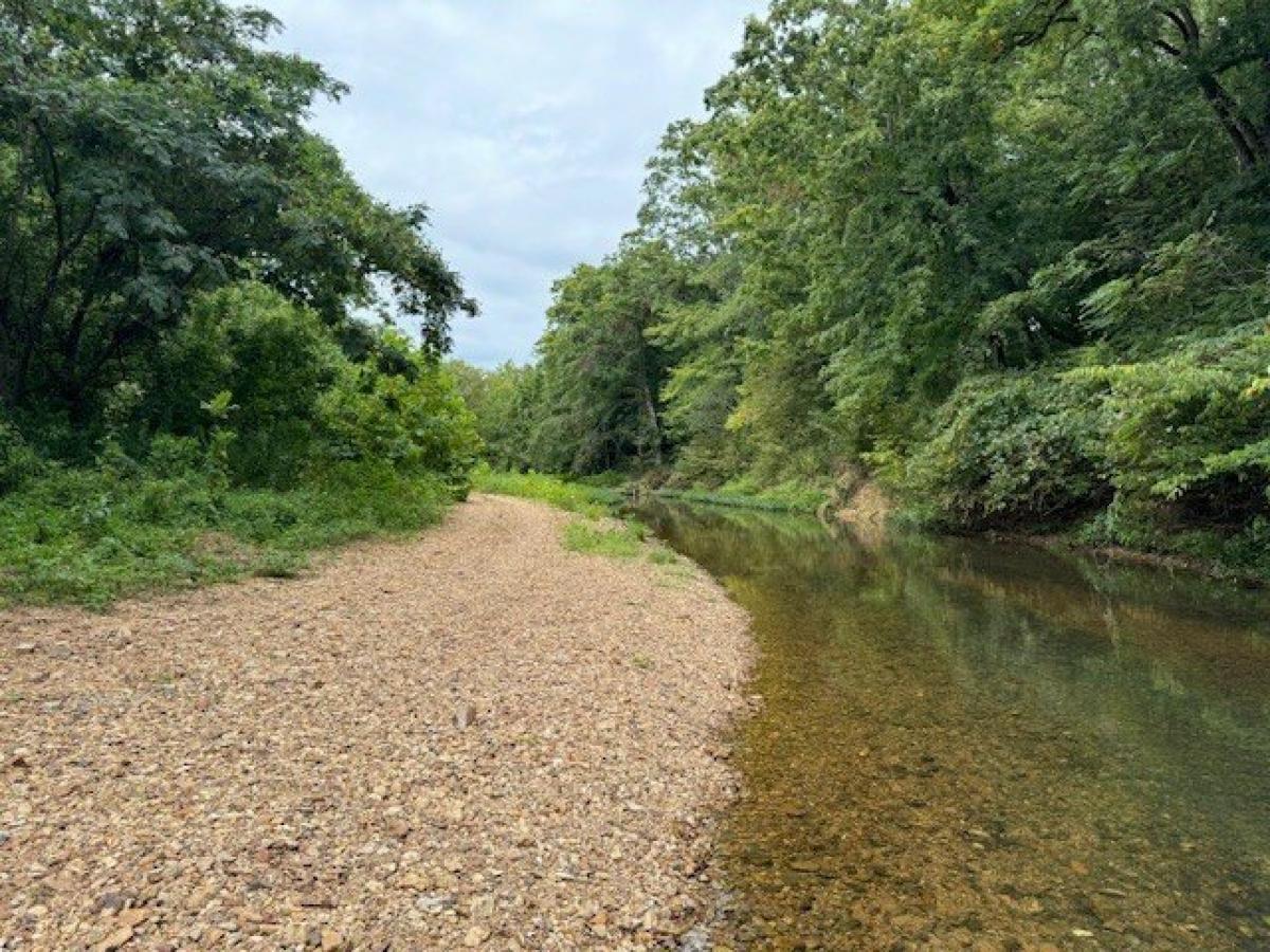 Picture of Residential Land For Sale in Waynesboro, Tennessee, United States