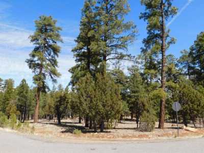 Residential Land For Sale in Happy Jack, Arizona