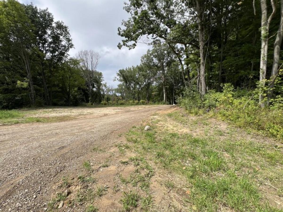 Picture of Residential Land For Sale in Coloma, Michigan, United States