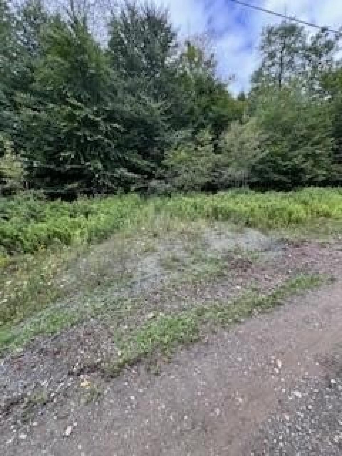 Picture of Residential Land For Sale in Covington, Pennsylvania, United States