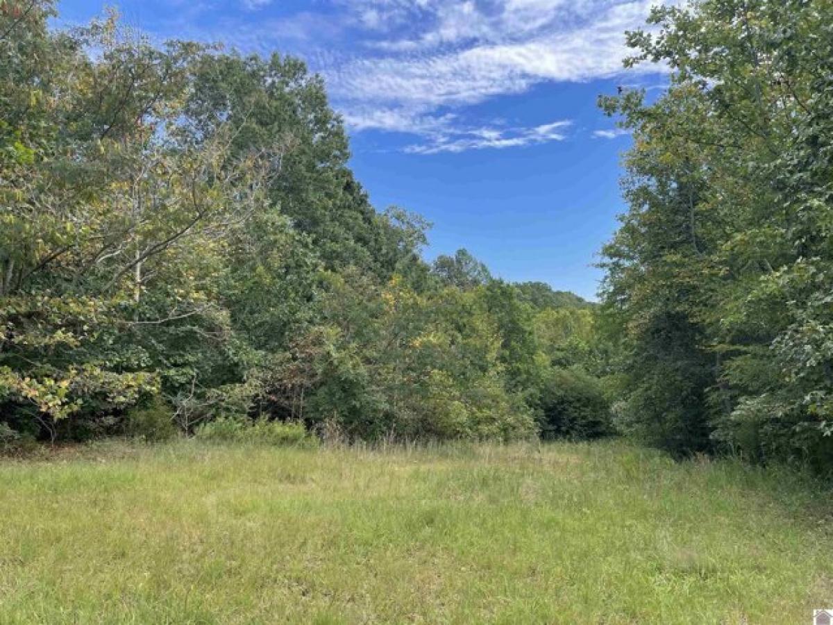 Picture of Residential Land For Rent in Eddyville, Kentucky, United States