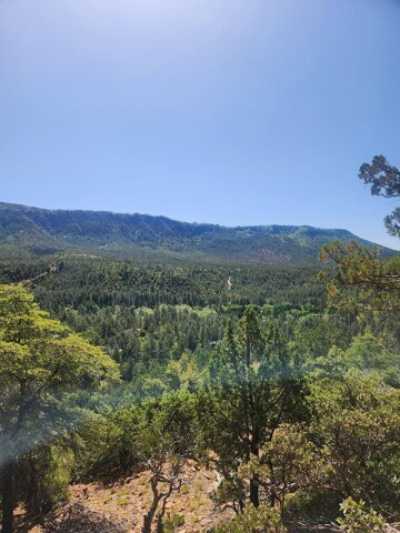 Residential Land For Sale in Pine, Arizona